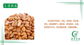 品味自然饋贈 碧享食品250g罐裝松子，開啟健康零食新風尚